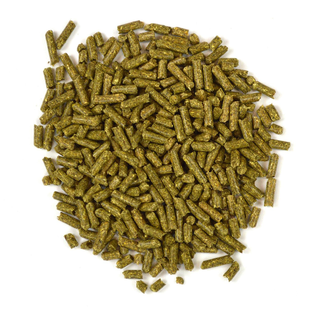 Critical Care Carnivore Pet Supplies I3831