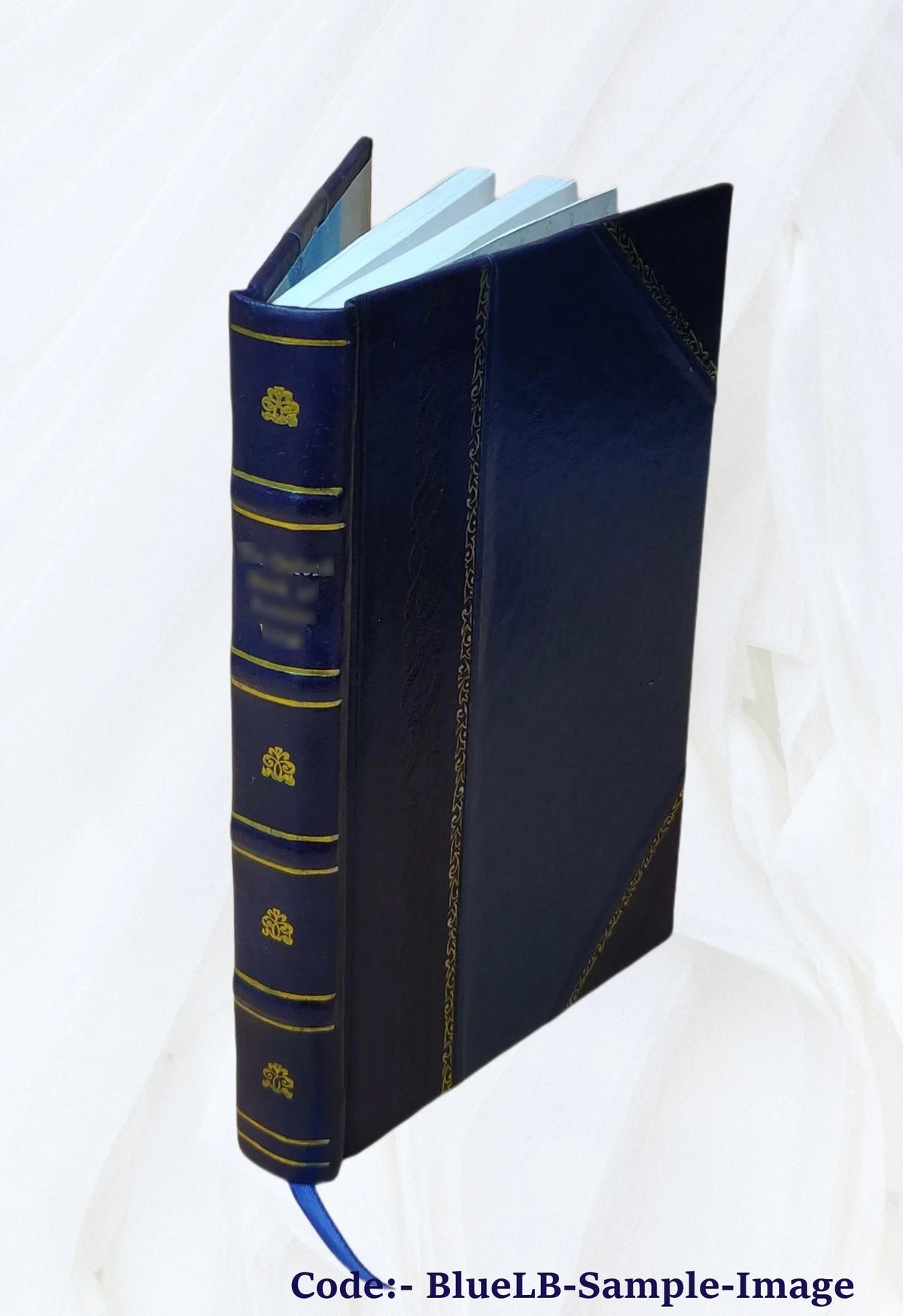 Leather Bound Book F19160