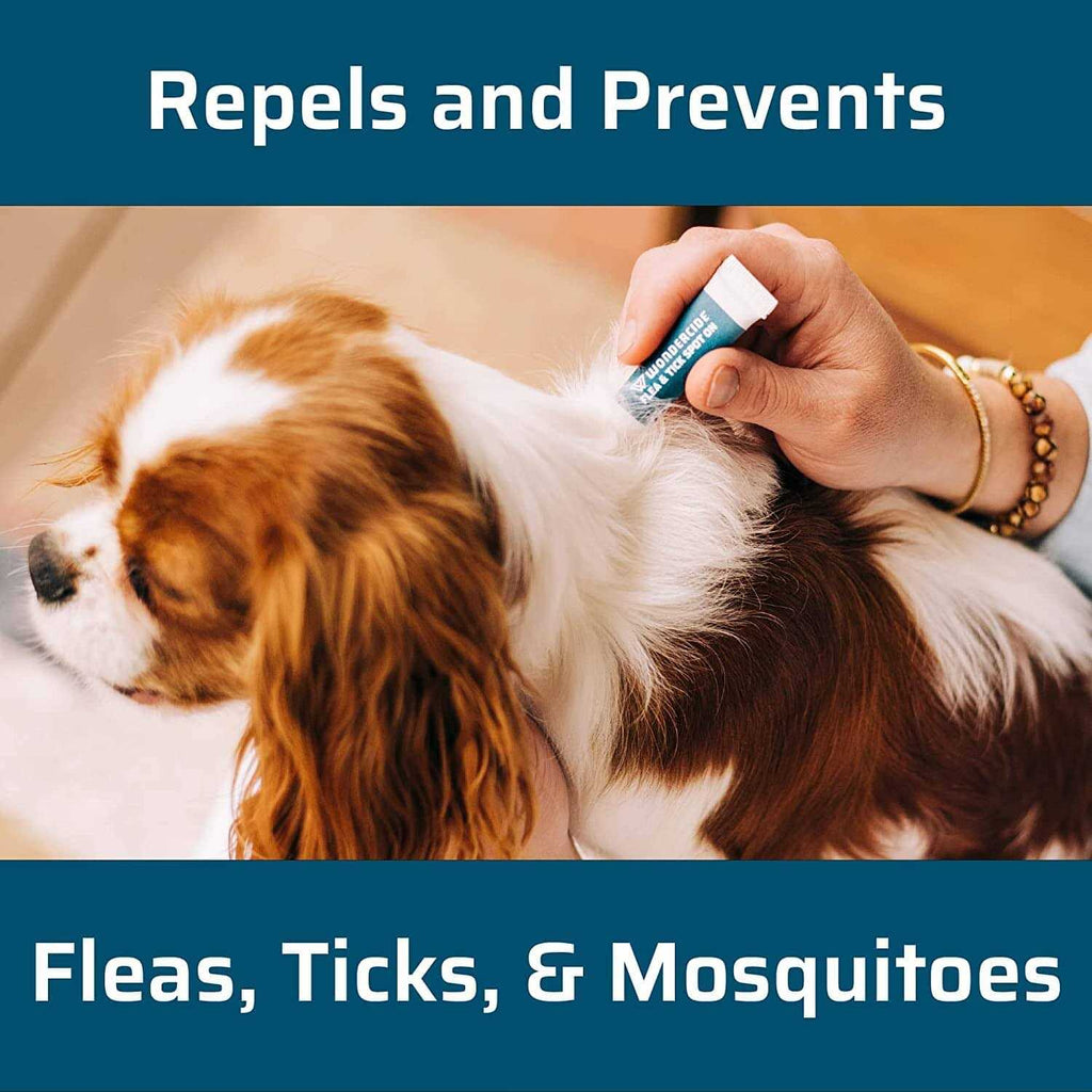Flea & Tick Spot On for Dogs U93212