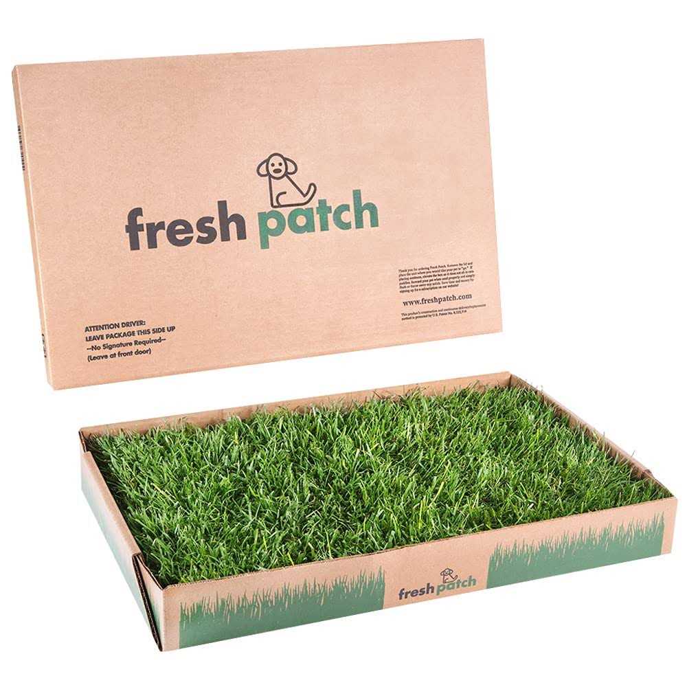 Large Real Grass Pee and Potty Training Pad for Dogs 15 to 30 pounds Q5636
