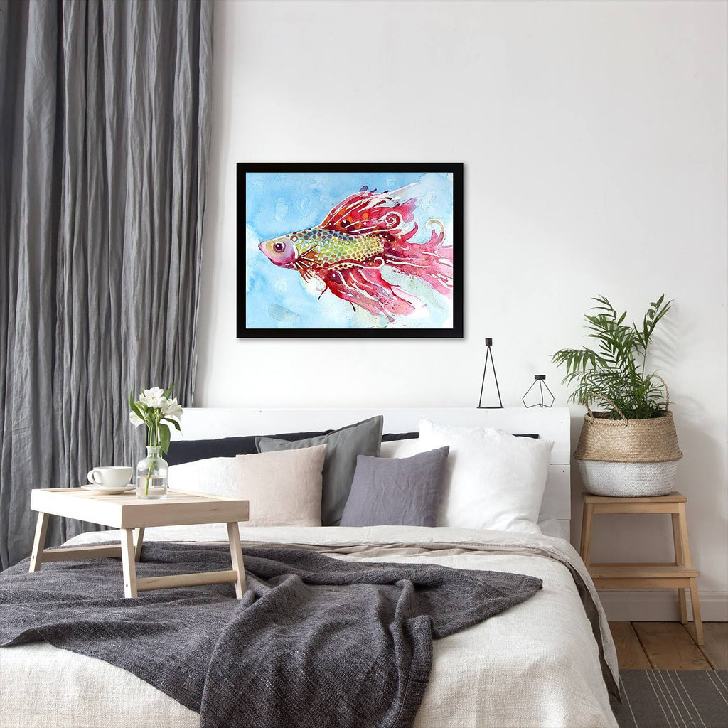 Black Frame Fish Swim Picture O533561