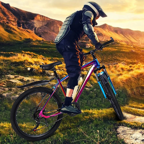 27.5-inch 21-speed Dual Disc Brakes Mountain Bike C869009