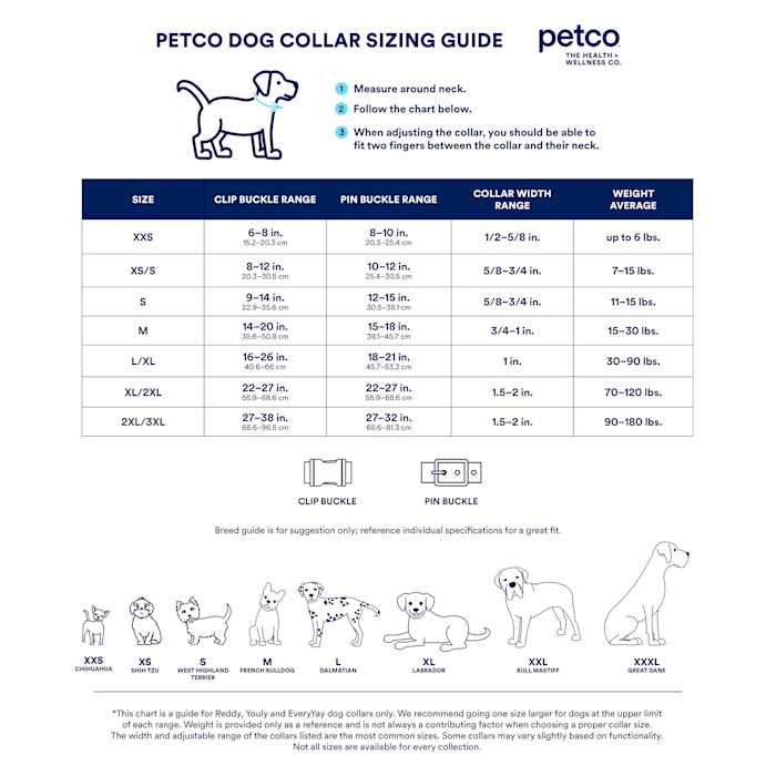 Classic Training Dog Collar O10881