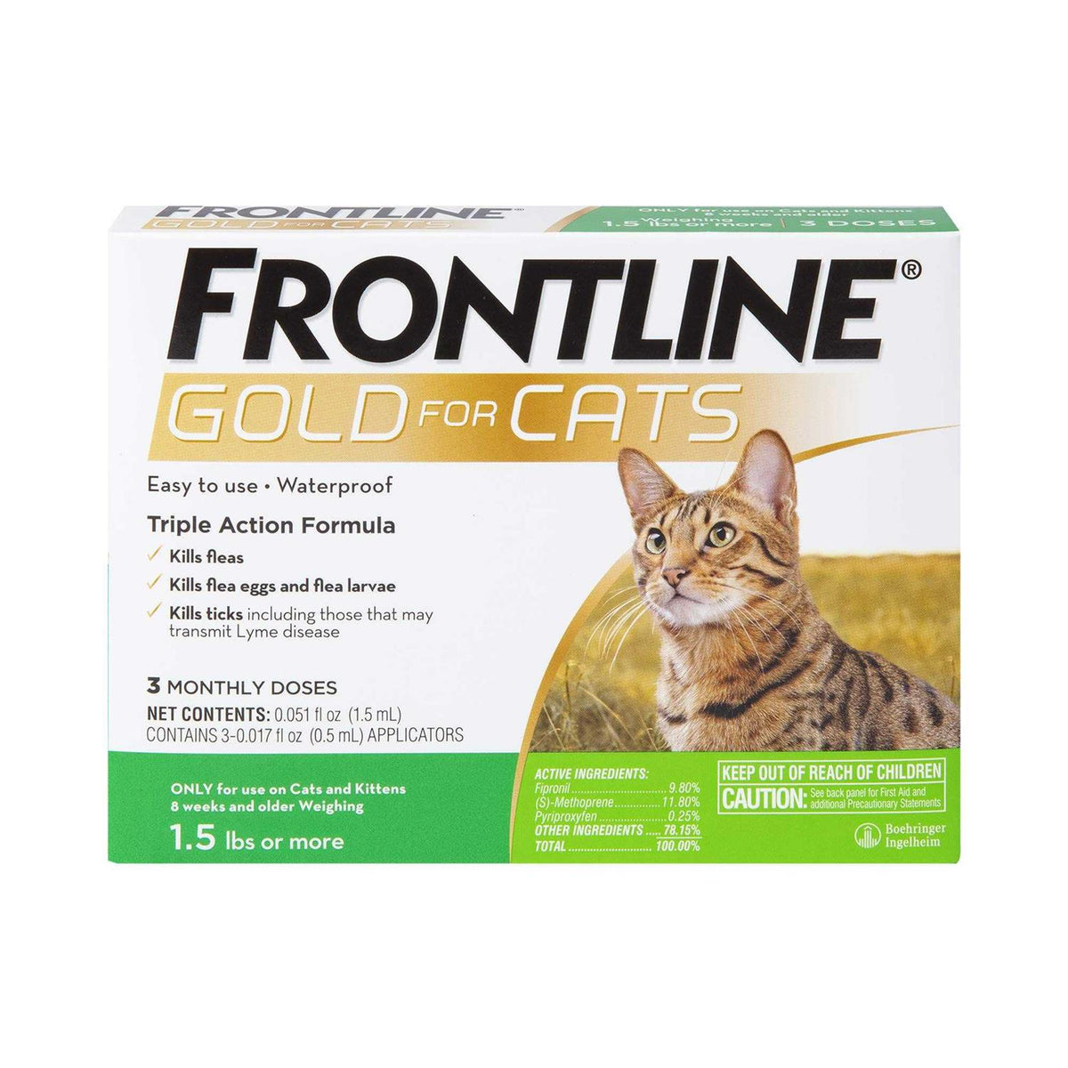 Gold for Cats Q618