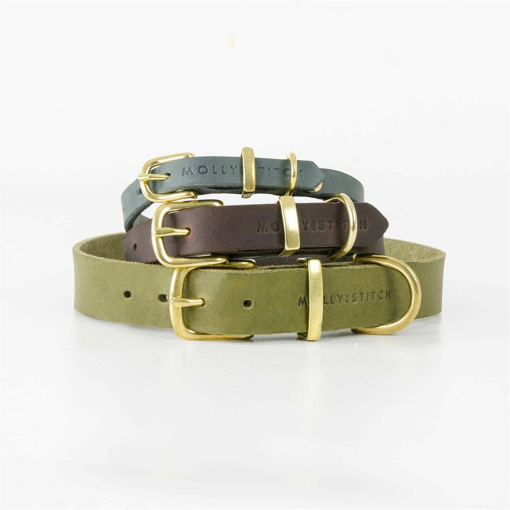 Leather Dog Collar R986