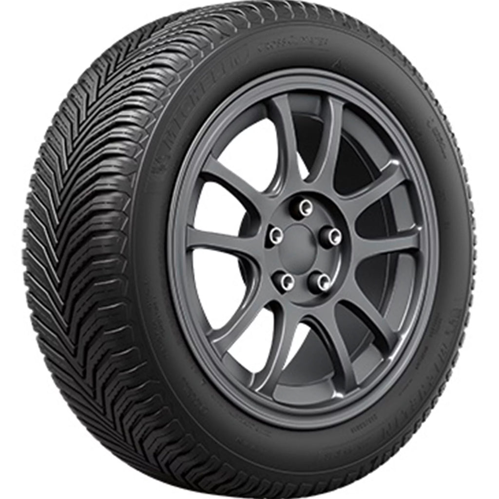 All Weather 255/55R20 110V XL SUV/Crossover Tire T986065