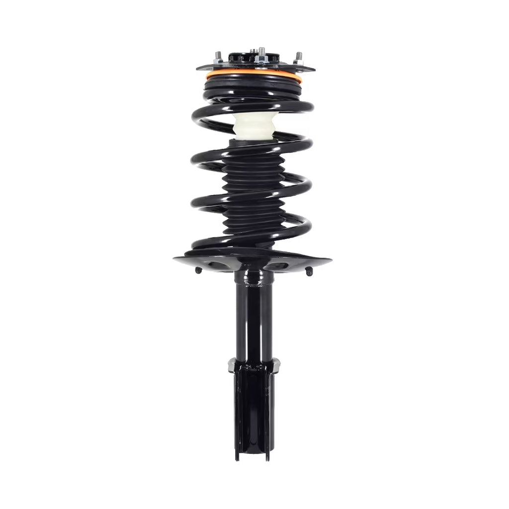 Complete Strut and Coil Spring W24413