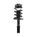Complete Strut and Coil Spring W24413
