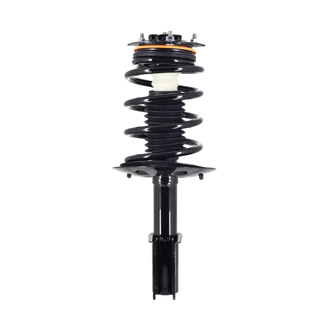 Complete Strut and Coil Spring W24413