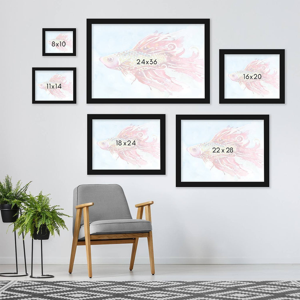 Black Frame Fish Swim Picture O533561