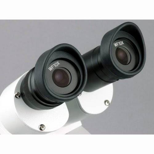 20X-40X-80X Forward Stereo Microscope with 1.3MP Digital Camera Z24939