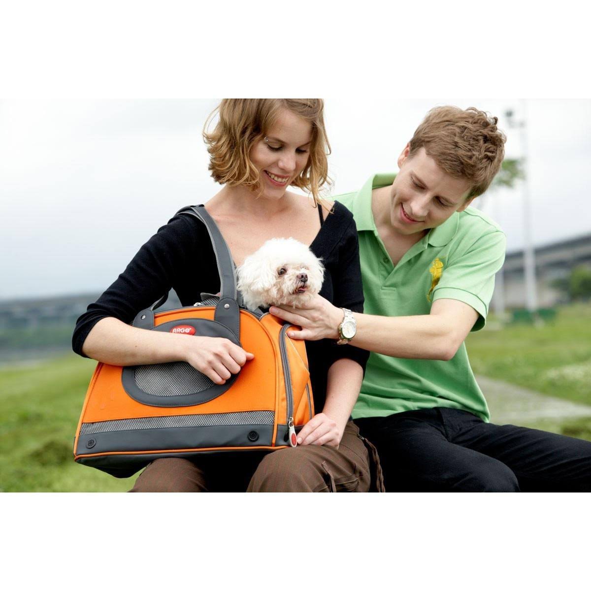 Green Pet Carrier Y77281