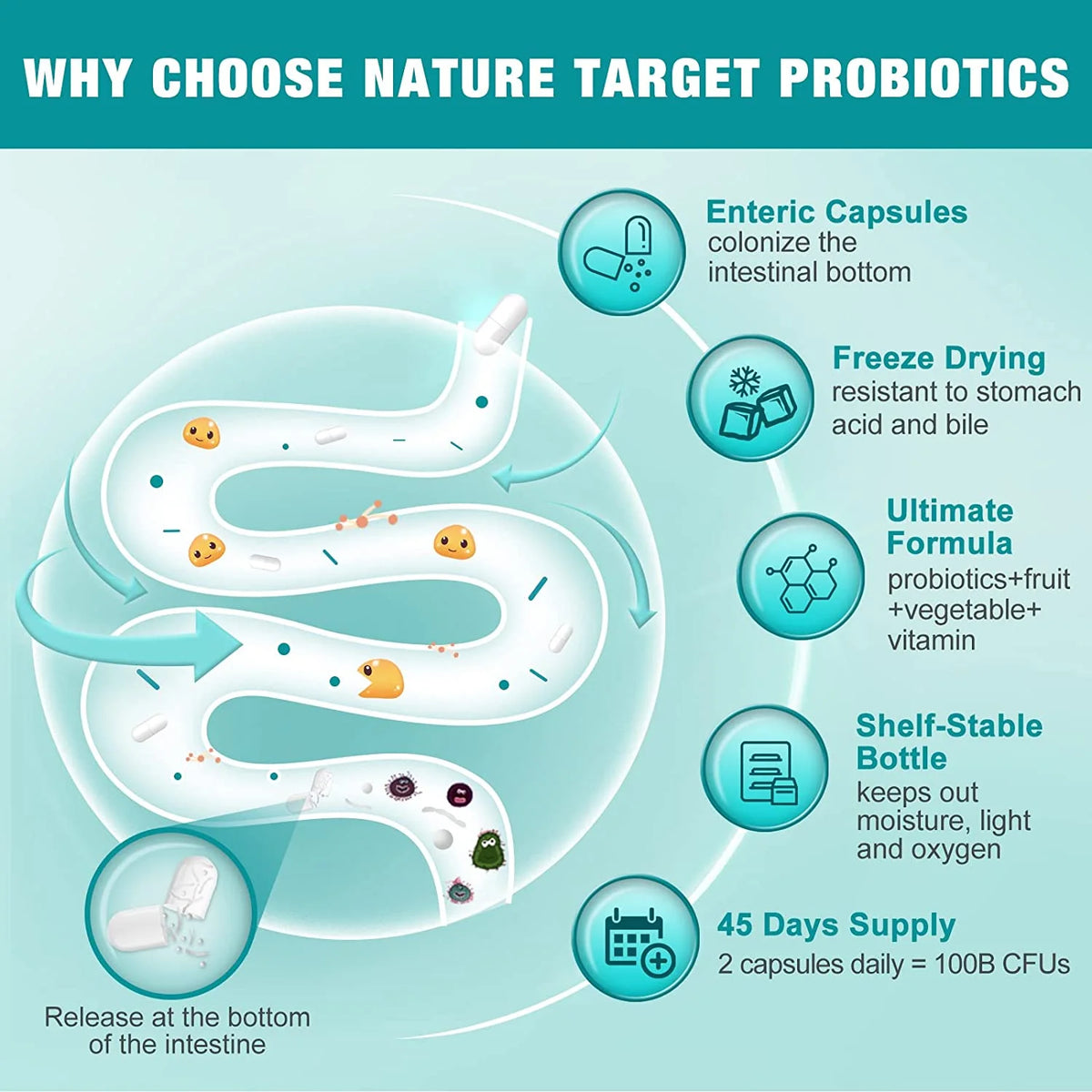 90 Veggie Capsules Probiotics R3734