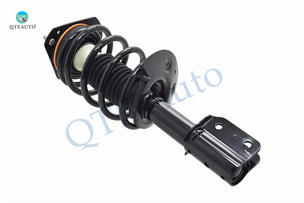 Complete Strut and Coil Spring W24413