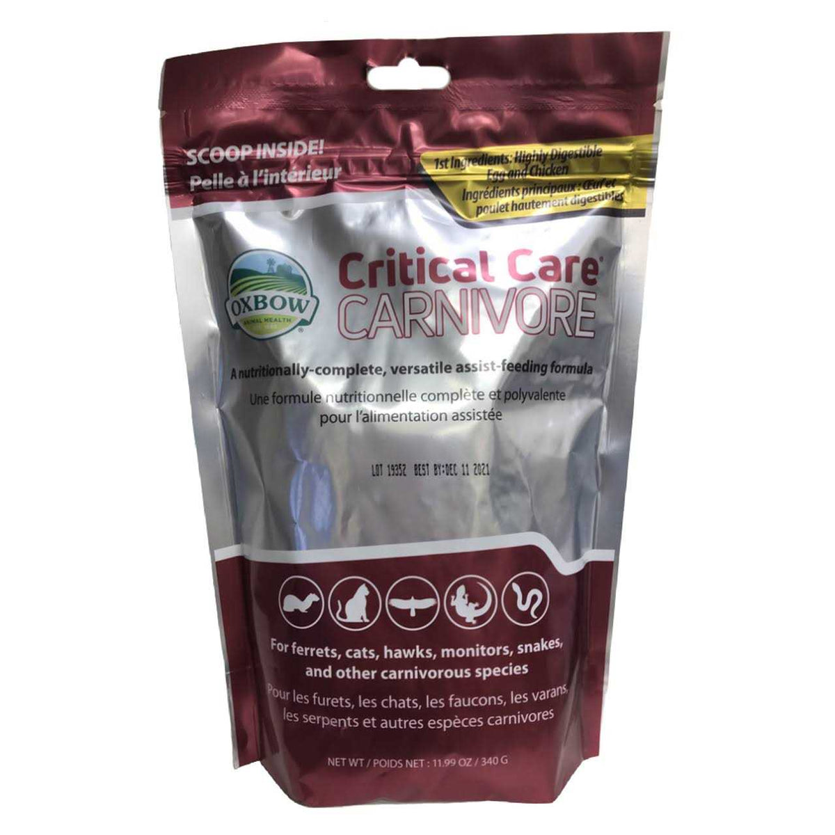 Critical Care Carnivore Pet Supplies I3831