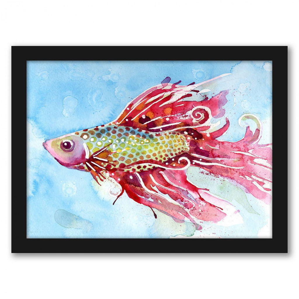 Black Frame Fish Swim Picture O533561