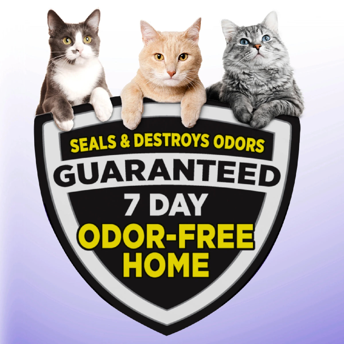 Multi-Cat Clumping Cat Litter 38 lbs E906261