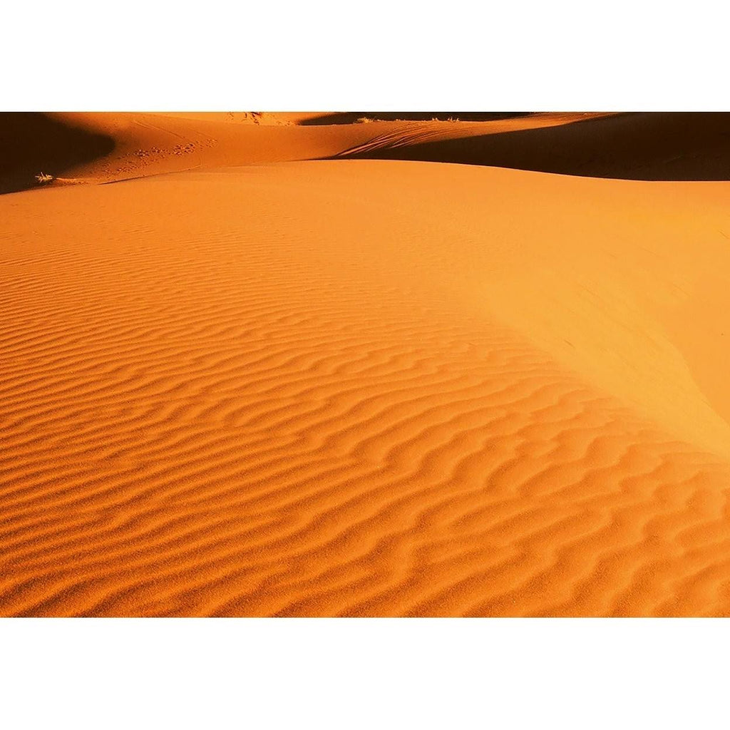 Desert Landscape Wall Mural C560915