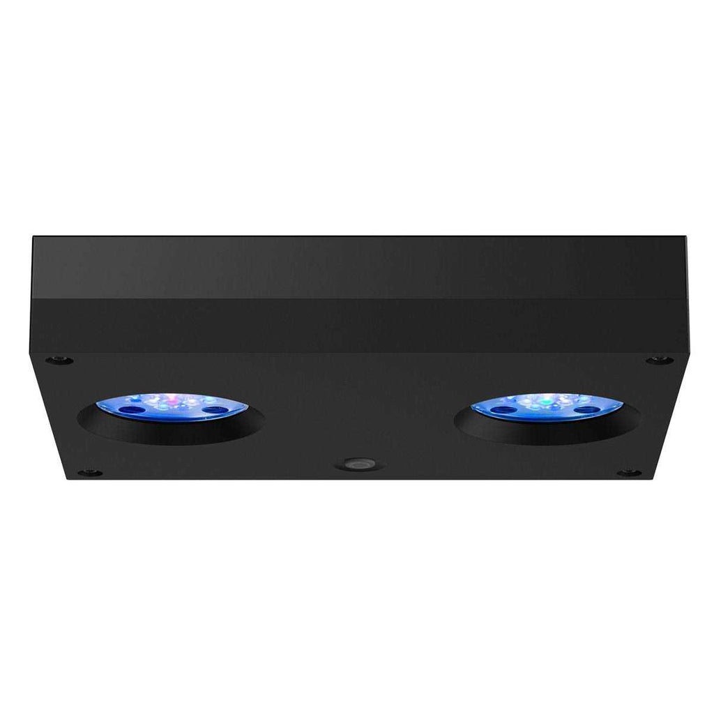 32 HD LED B111