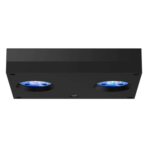 32 HD LED B111