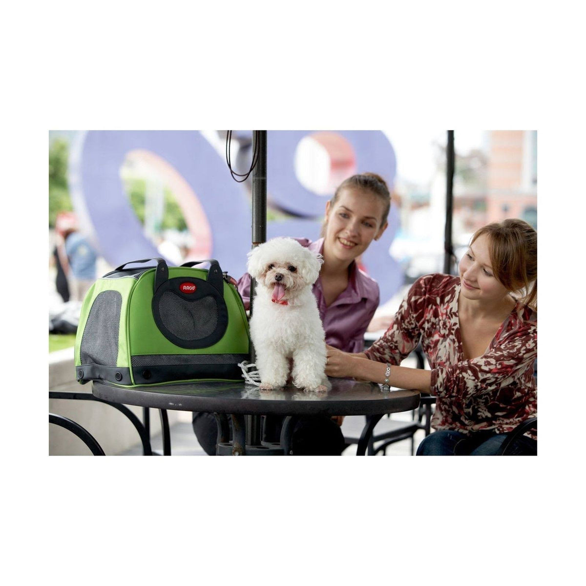 Green Pet Carrier Y77281