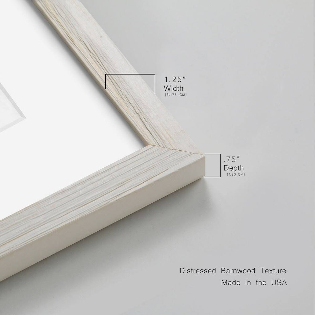 Framed Canvas V150