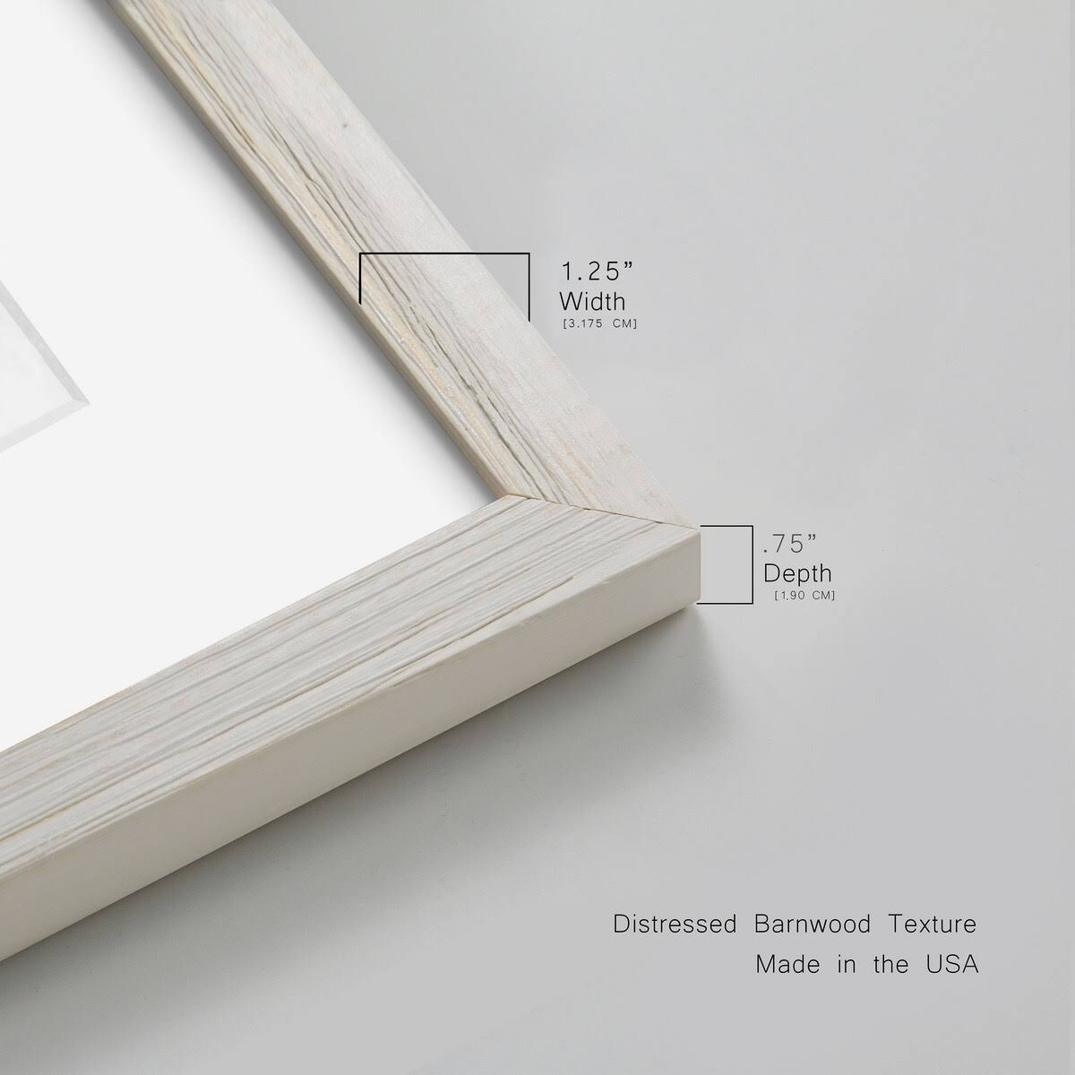 Framed Canvas V150