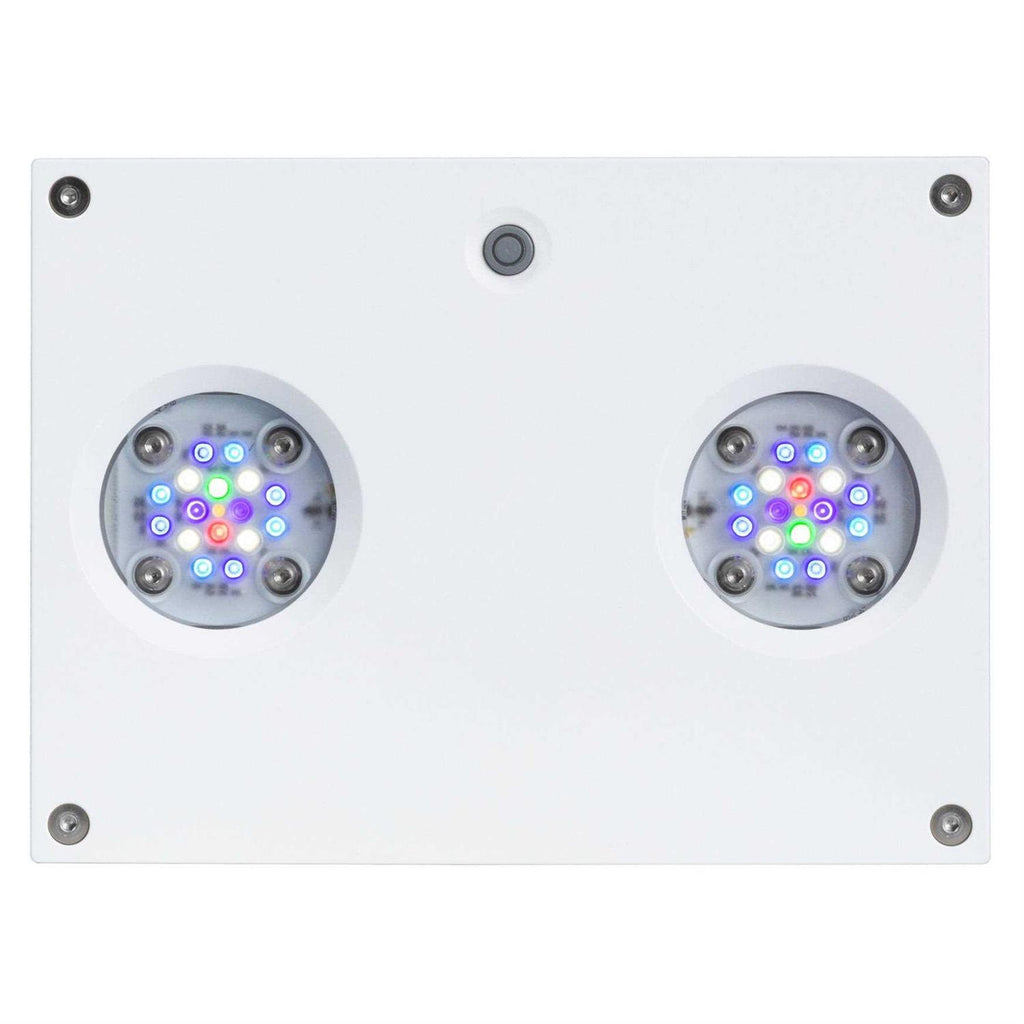 32 HD LED B111