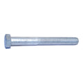 Hot Dip Galvanized Hex Cap Screws 5 pcs. H109