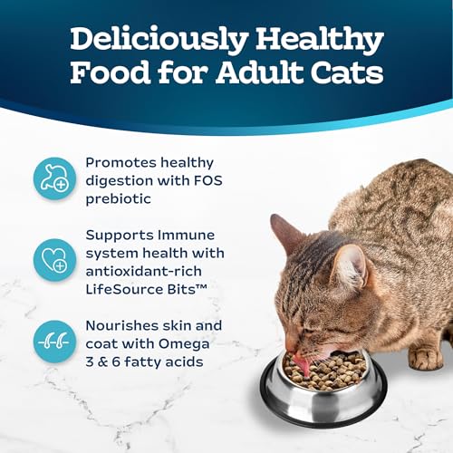 15-lb. Bag Dry Cat Food L885