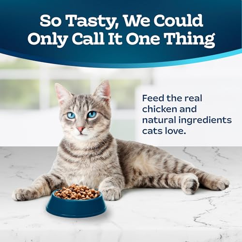 15-lb. Bag Dry Cat Food L885