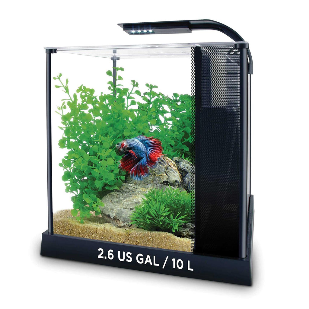 Betta Kit R18741