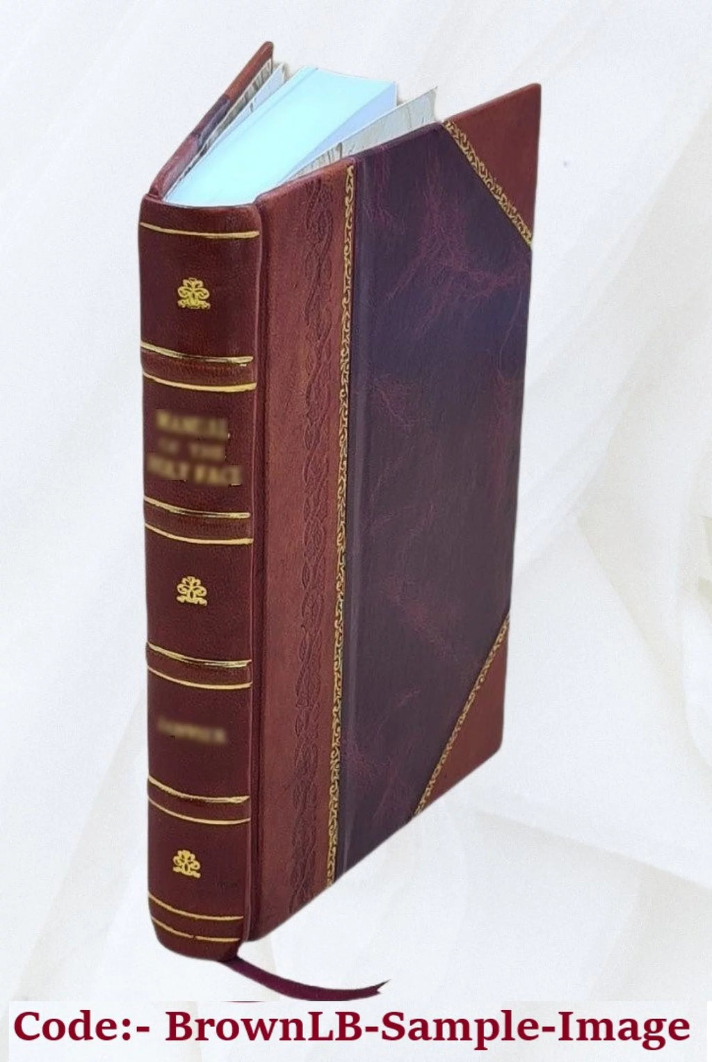 Manual des curés pour le bon gouvernement temporel des paroisses et des fabriques C974