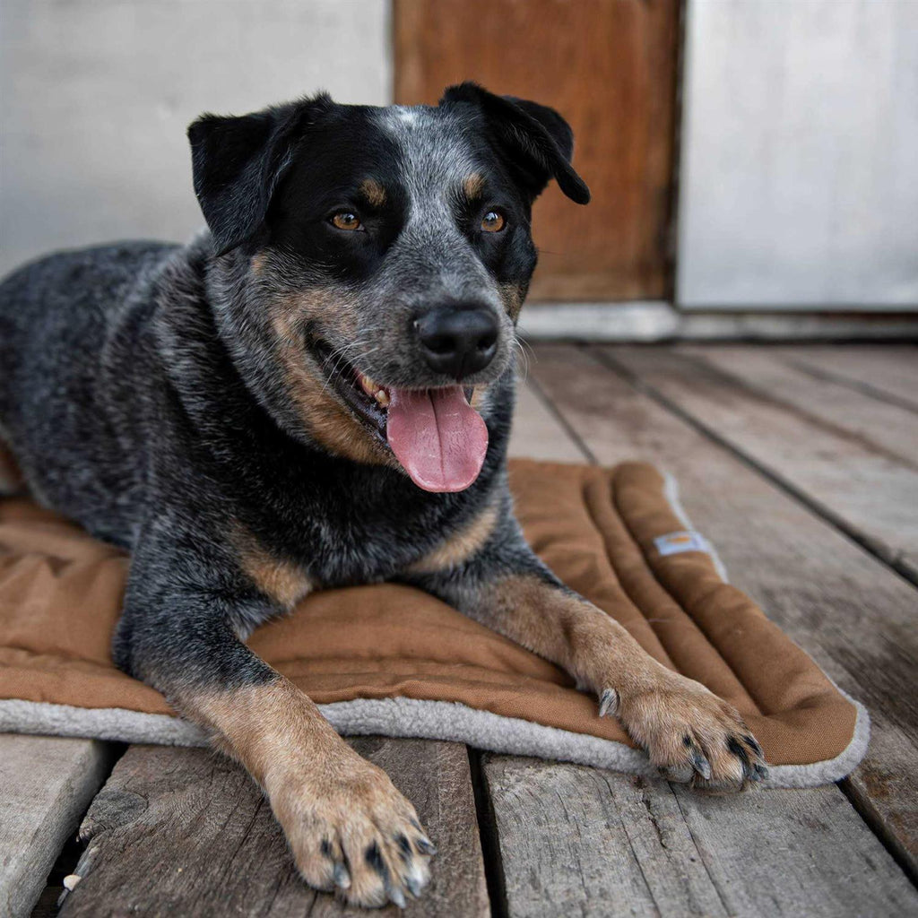 Dog Pad Q627756