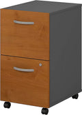 2 Drawer Mobile File Cabinet O25929