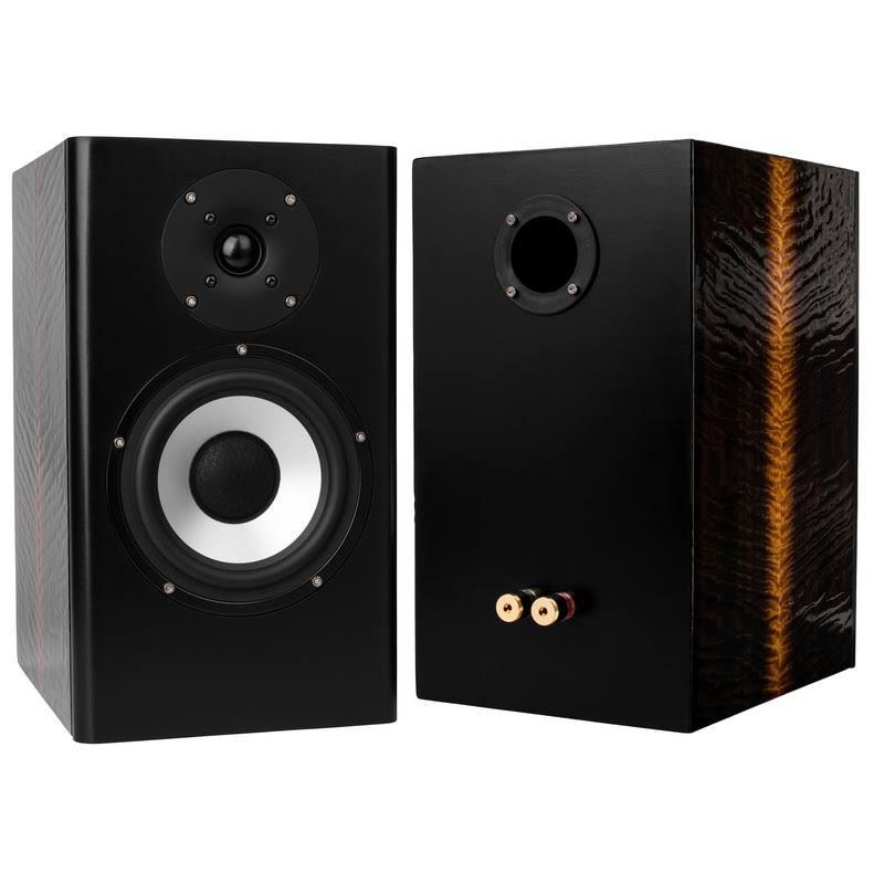 Studio Monitor Speaker Kit with Knock-Down Cabinet M22773