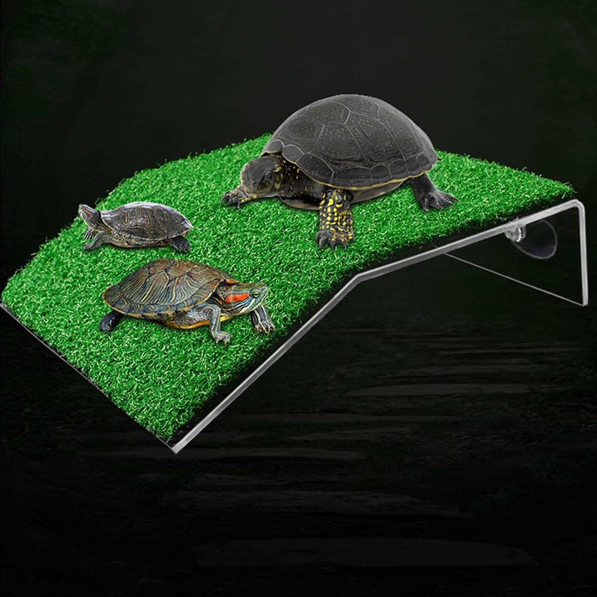 Lawn Turtle Basking Platform E24744