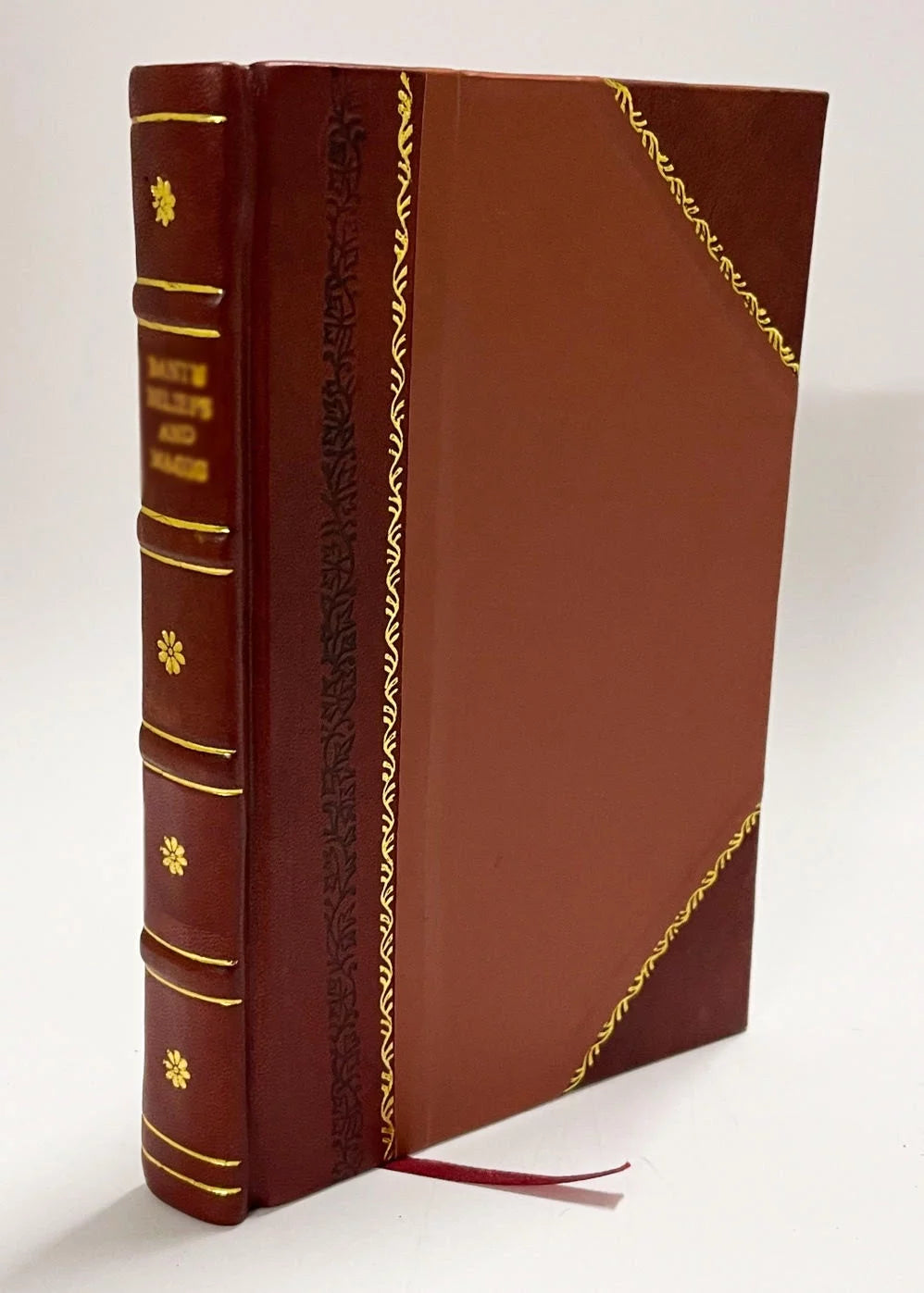 Leather Bound Book N5125
