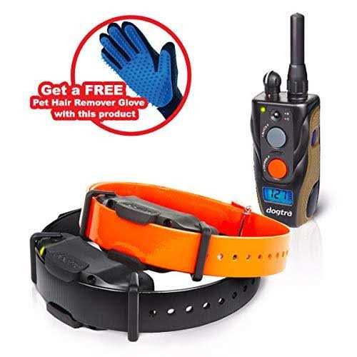 2 Dog Remote Training Collar R192560