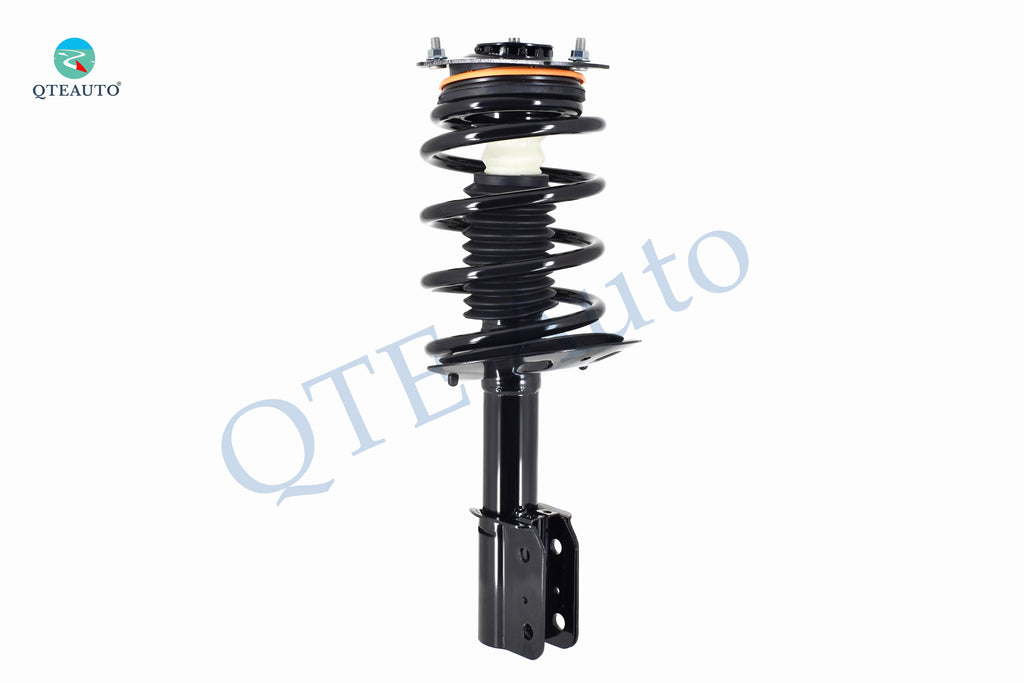 Complete Strut and Coil Spring W24413