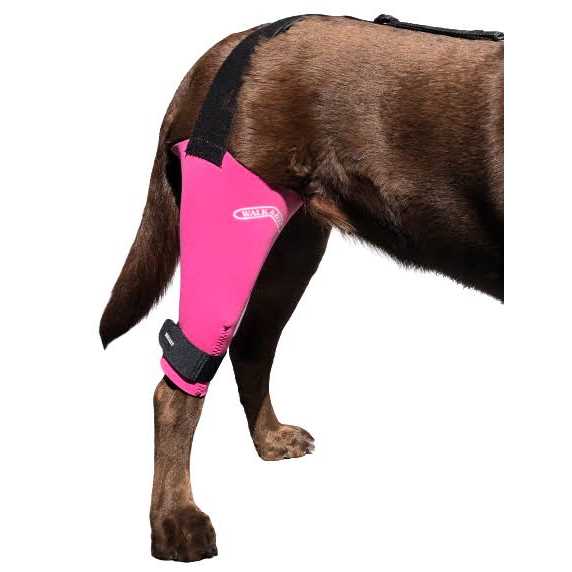 Dog & Cat Knee Brace Z281590