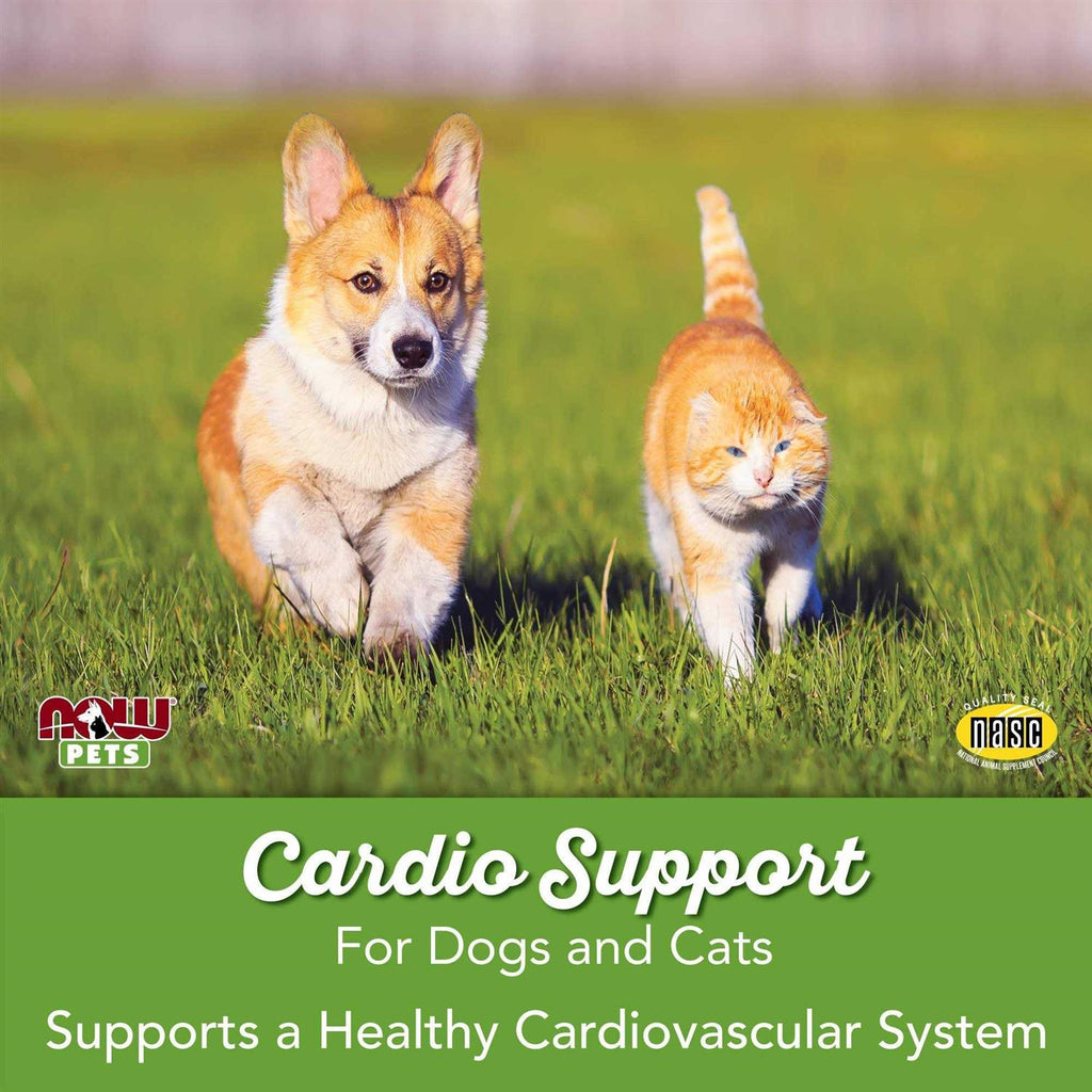 Cardiovascular Support for Dogs & Cats I33700