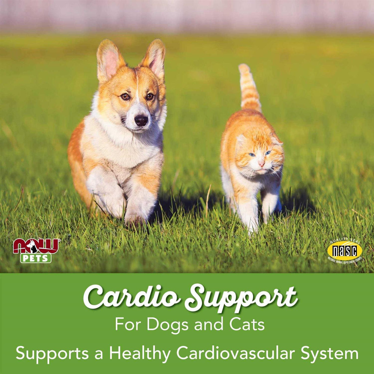 Cardiovascular Support for Dogs & Cats I33700