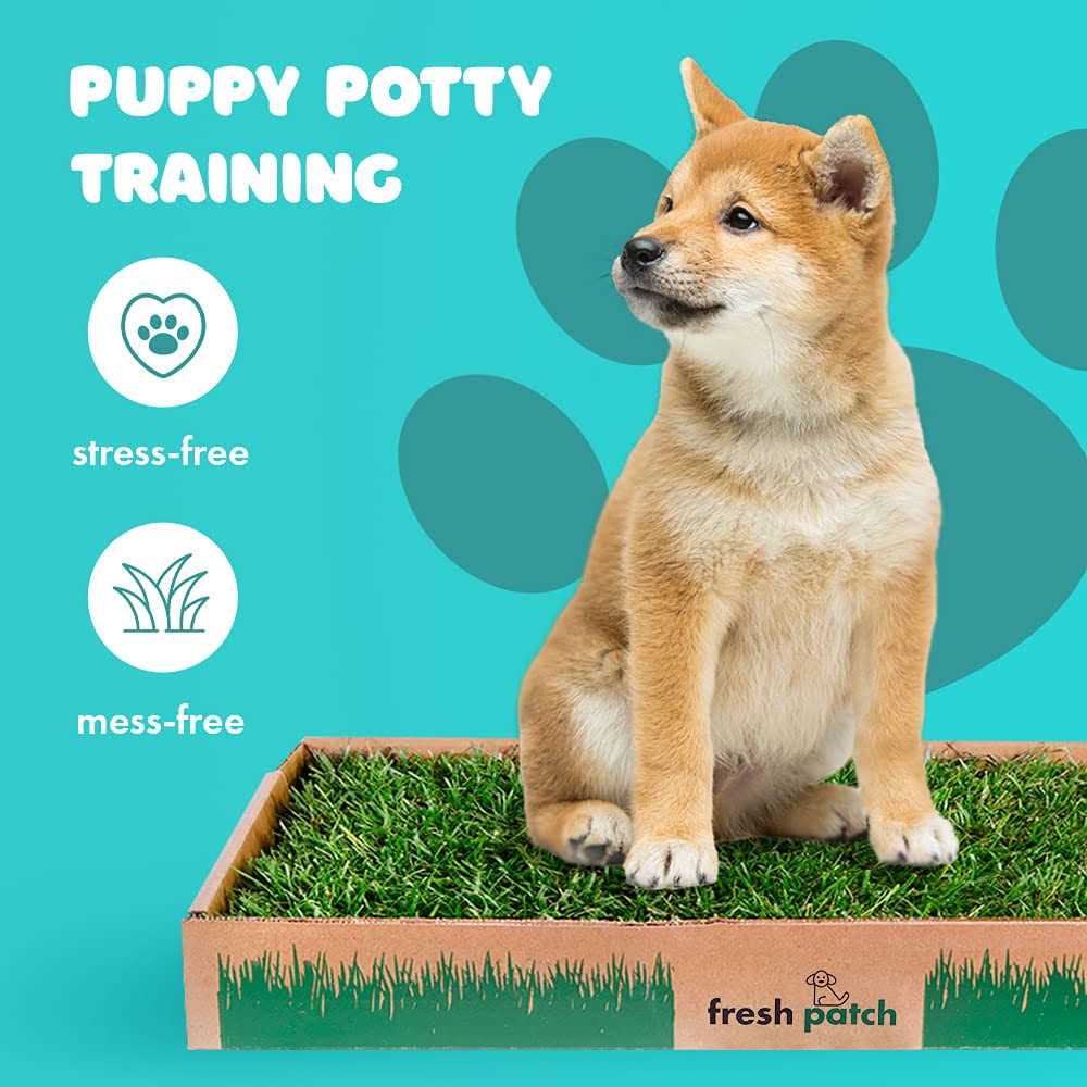 Large Real Grass Pee and Potty Training Pad for Dogs 15 to 30 pounds Q5636