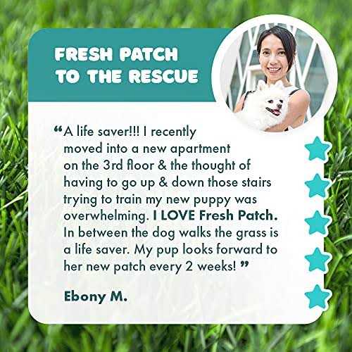 Large Real Grass Pee and Potty Training Pad for Dogs 15 to 30 pounds Q5636