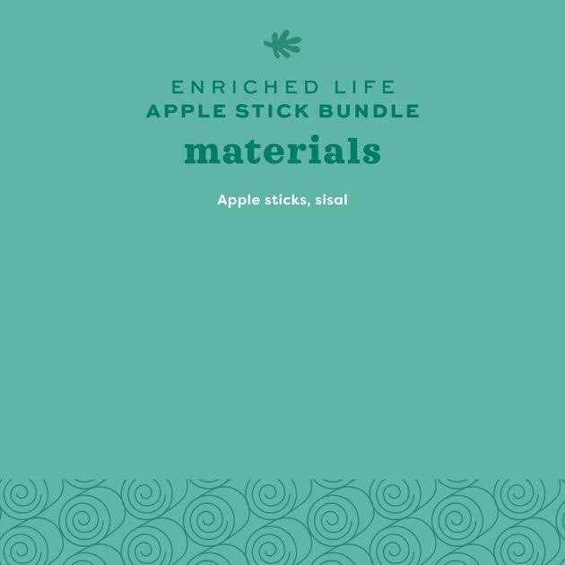 Apple Stick Bundle C704089