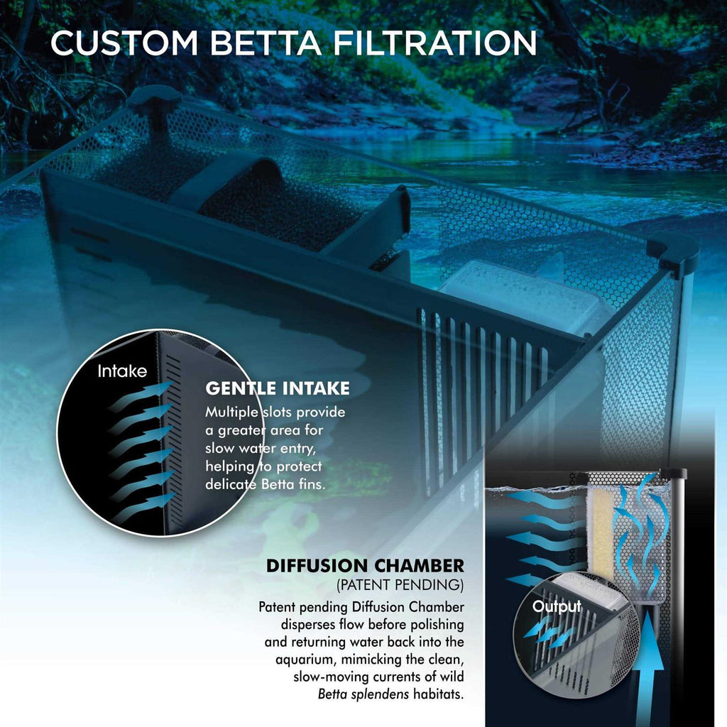 Betta Kit R18741