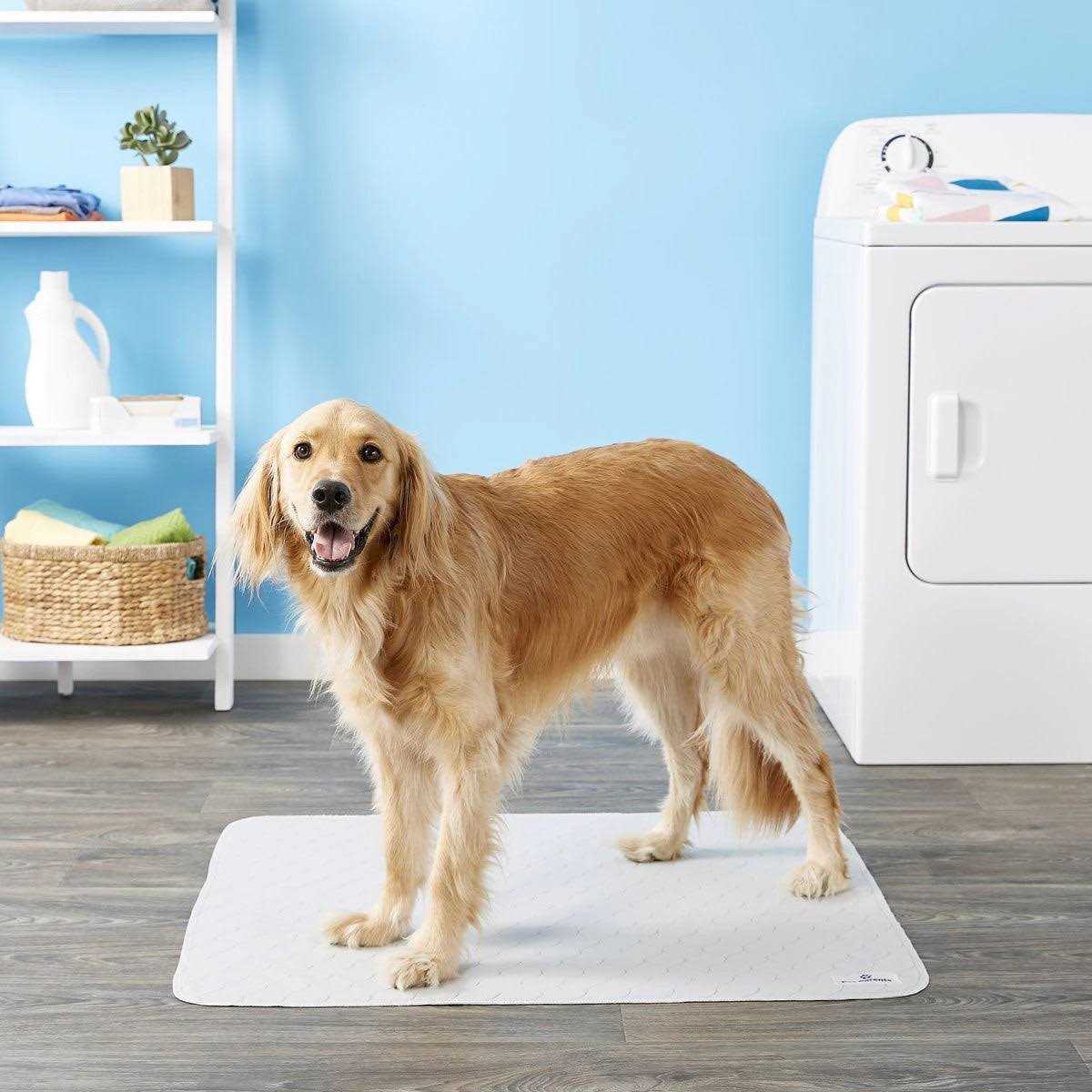 Washable Dog Pee Pads P286288