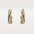 Earrings D823