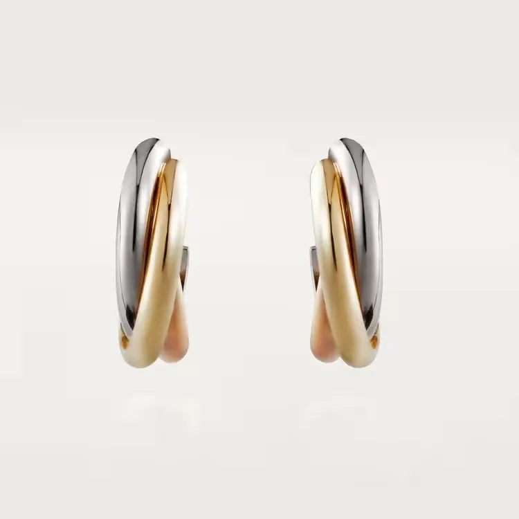 Earrings D823
